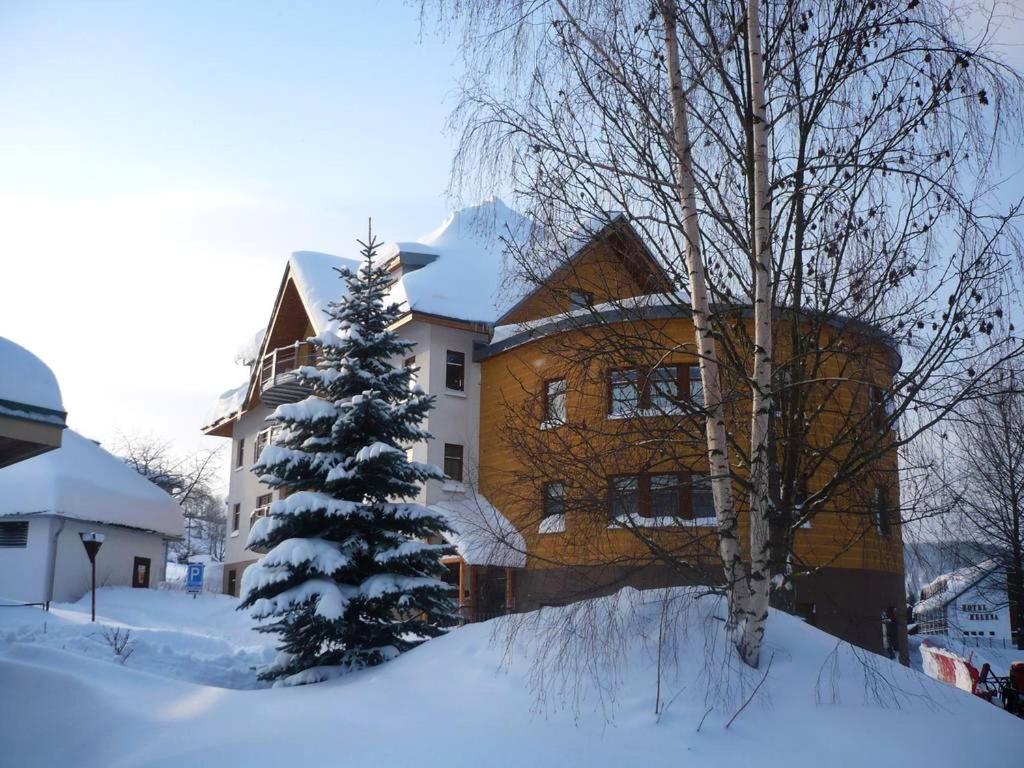Apartman Modra Hvezda Rokytnice nad Jizerou Dış mekan fotoğraf